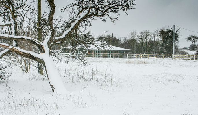 Heavy snow in Throckmorton