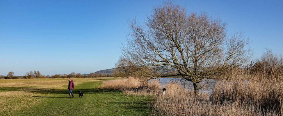 River walk, Twinning