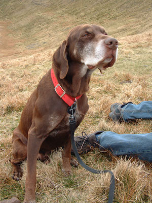 Ivan, Phil, Richard and Will on Pen-Y-Fan in the Brecons