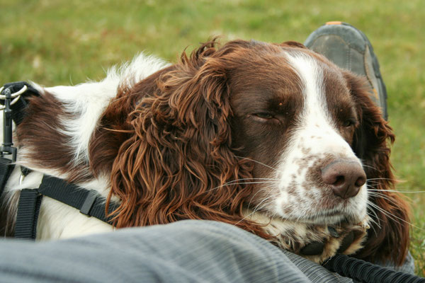 June, Lakes Holiday based near Appleby