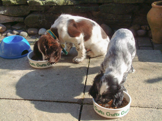 Zebbie & Rosie do a bit of eating