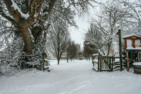 Heavy snow in Throckmorton