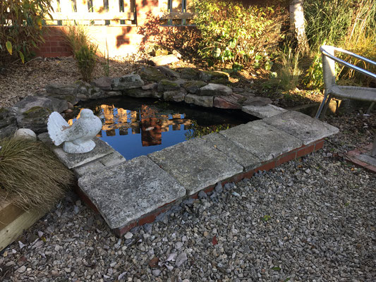 Summer rebuild of pond