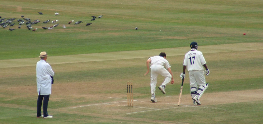 Ivan & Richard on a jolly at Edgbaston