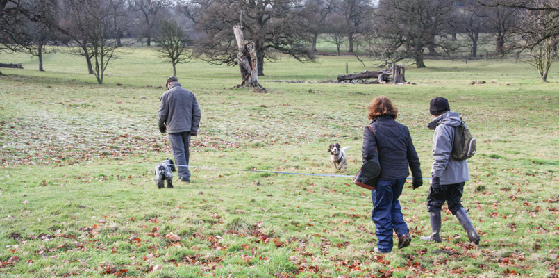 Stanton / Stanway New Years Day walk
