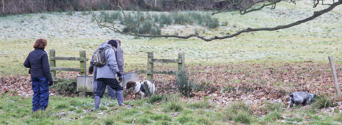 Stanton / Stanway New Years Day walk