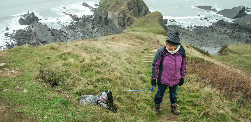 Christmas at Ensis Farm Cottages, North Devon