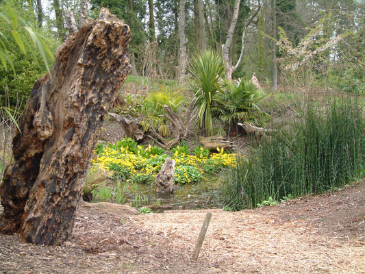 Batsford Arboretum