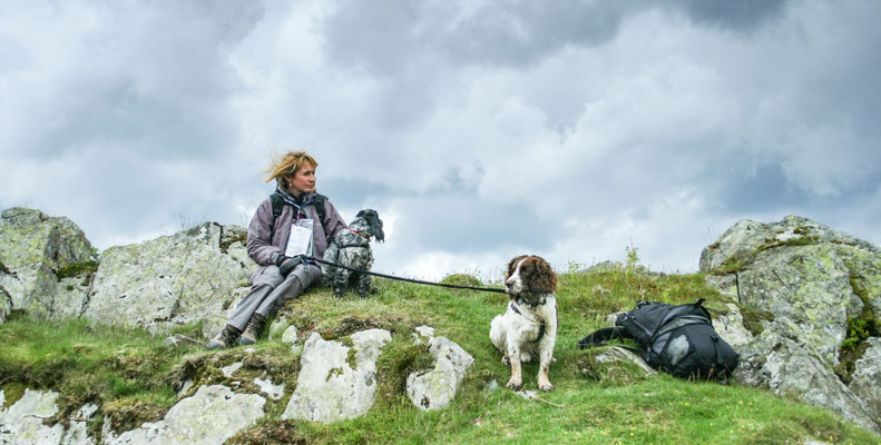 June, Lakes Holiday based near Appleby