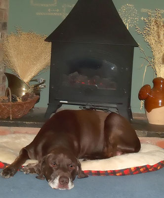 Will enjoying (gas) fire in front room