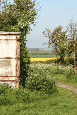 Shorthorn Woods walks, Throckmorton