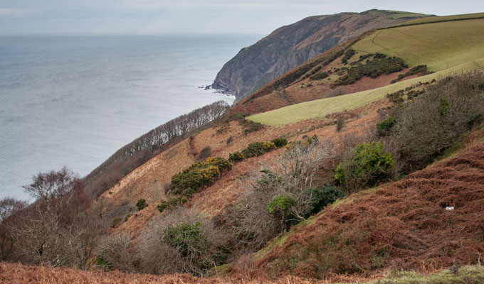 Knowstone, North Devon, Christmas hols