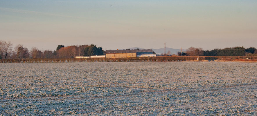 Frosty days in Throckmorton
