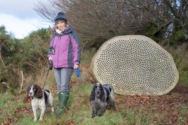 Knowstone, North Devon, Christmas hols