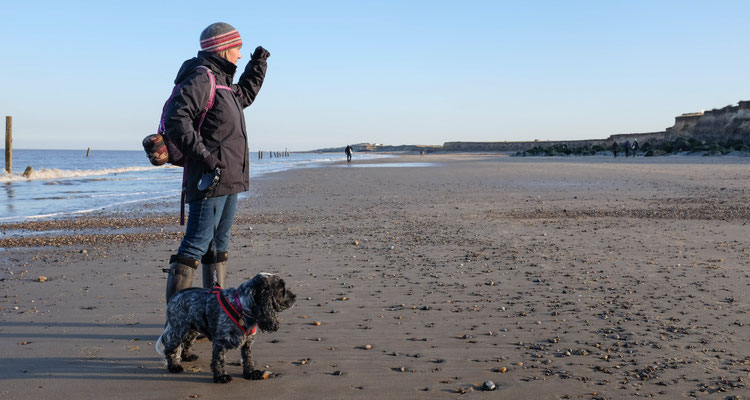 February, Skeyton stay, Norfolk