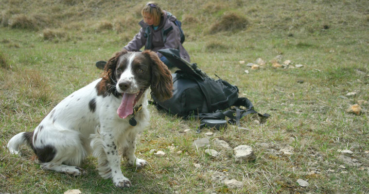 Cotswold, Pondlip walk