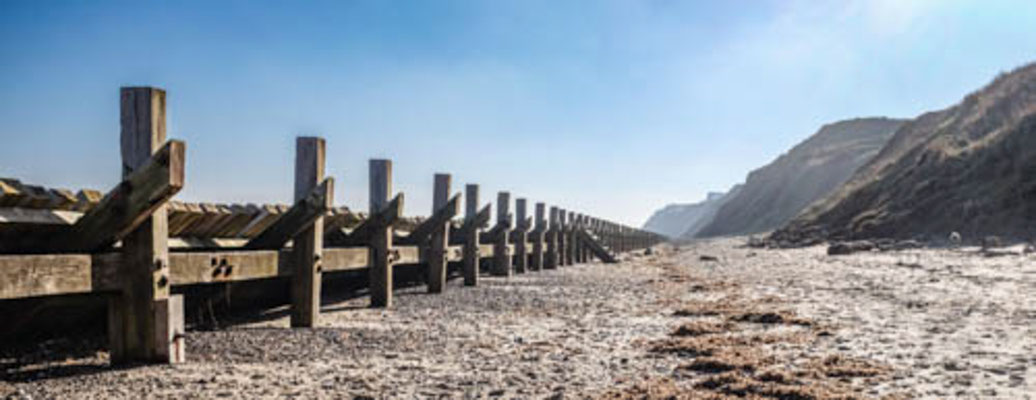 February, Skeyton stay, Norfolk