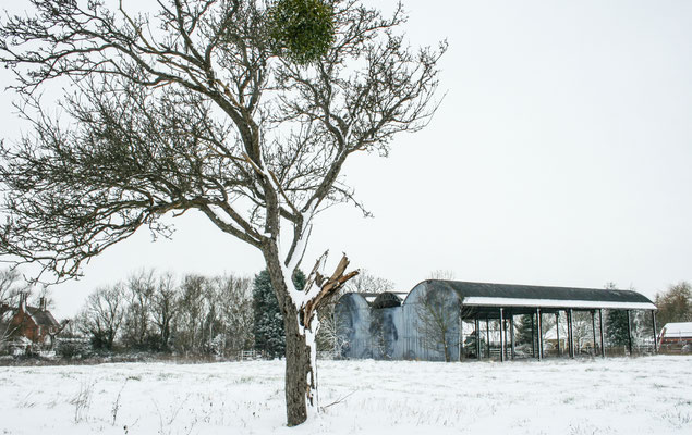 Heavy snow in Throckmorton