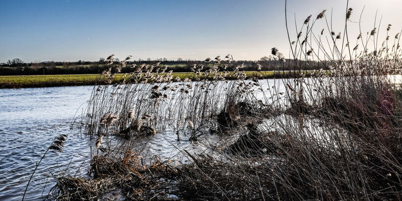 River walk, Twinning