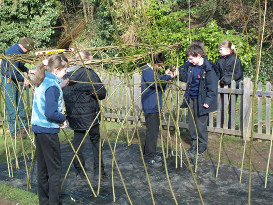 Red Hill School: willow structures