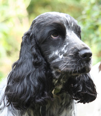 Walking on the Malvern Hills