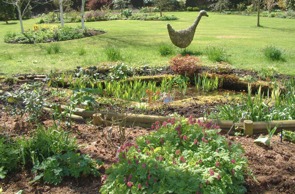 White Cottage Gardens, Stock Green - geranium collection