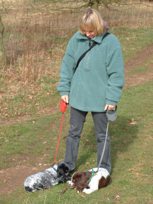 First major walk - Croome Court