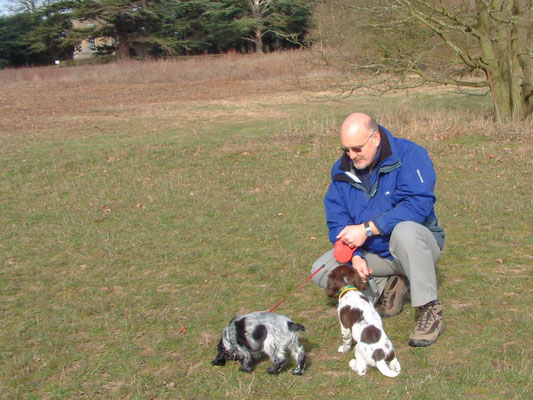 First major walk - Croome Court
