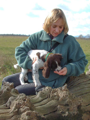 First major walk - Croome Court