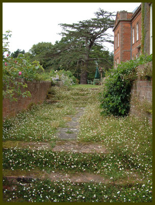 National trust - Dudmaston Hall