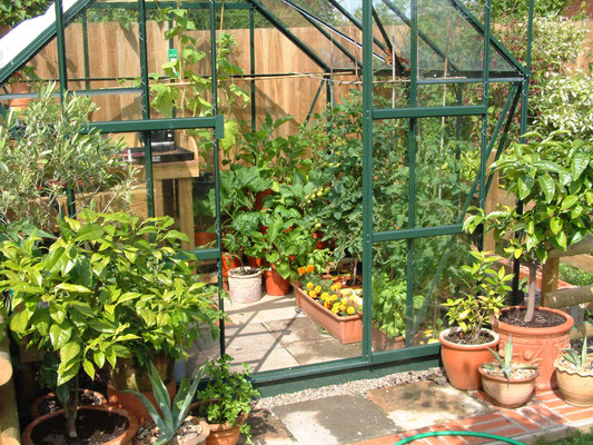 Building the greenhouse