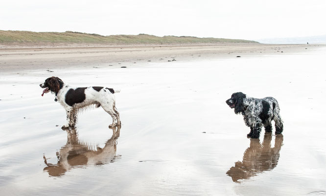 Knowstone, North Devon, Christmas hols