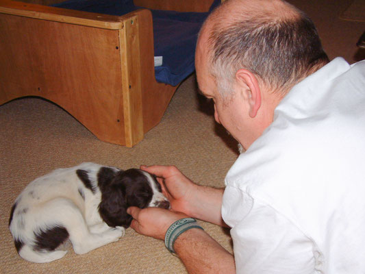 Zebedee on his first night (on his own!)