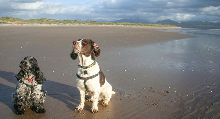 Conwy / Anglesey holiday (October)