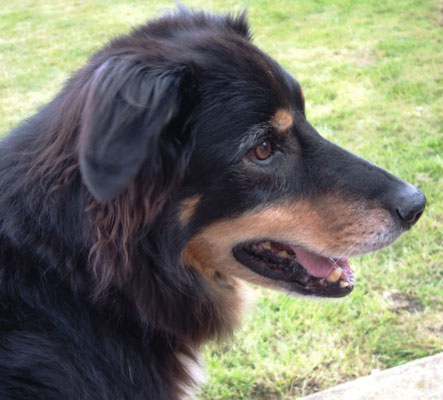 Autumn get together at the Mythe