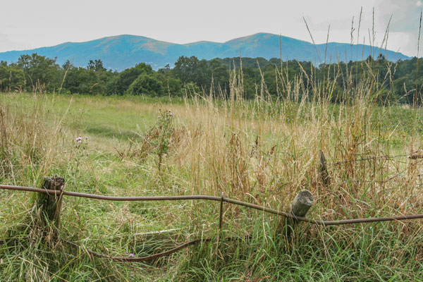 Old Hills, Callow End