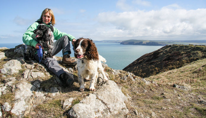 Easter in Cardigan Bay
