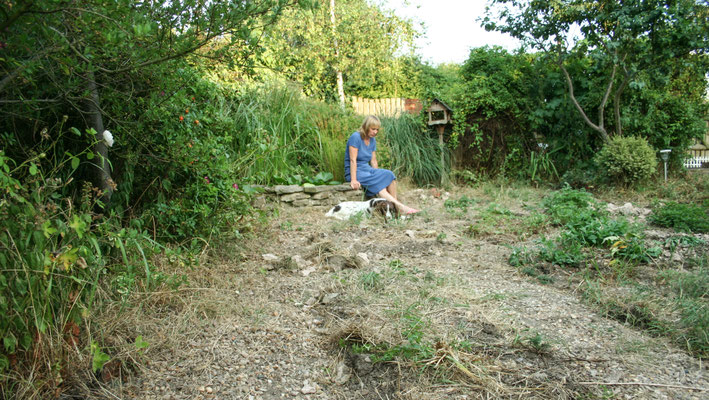 Before the single garden was built (border edging having been removed