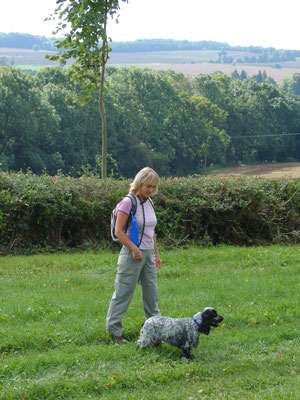 Cotswolds - The Mile gallop