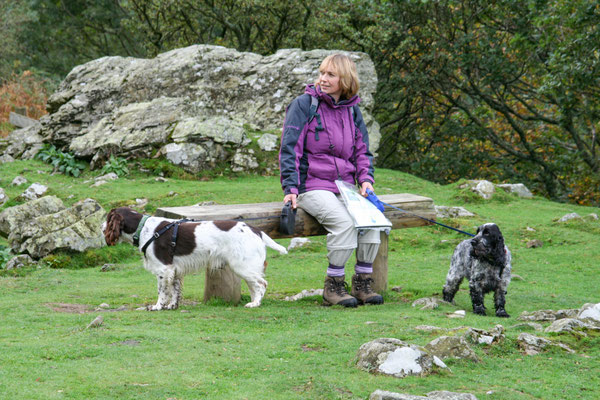 Conwy / Anglesey holiday (October)