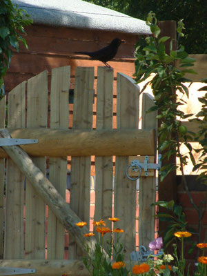 New gate in the garden