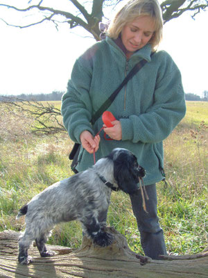 First major walk - Croome Court