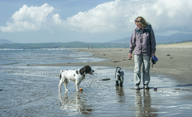 Snowdon / North Wales holiday 