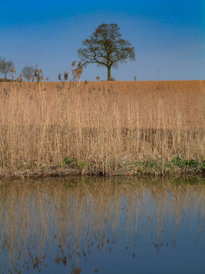 Canal walk near Oddingley with Phil & Will