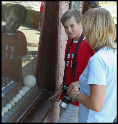 Ben comes to stay - visit to Cotswolds Wildlife Park