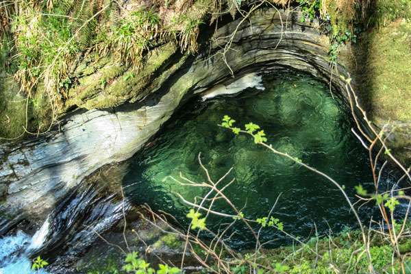 Easter hols in north Devon: Ledford Gorge