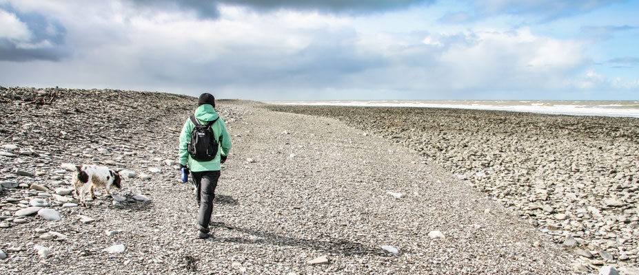 Easter in Cardigan Bay