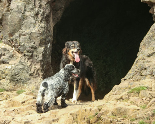 Family meet up on the Malverns