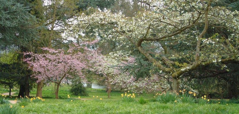 Batsford Arboretum