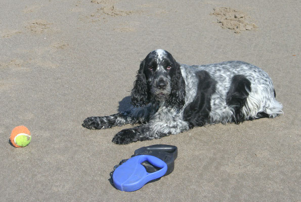 Snowdon / North Wales holiday 